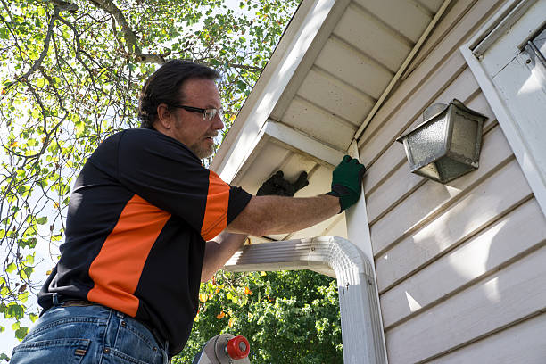 Affordable siding repair and maintenance services in Brigham City, UT